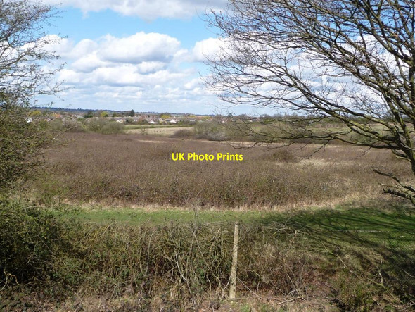 Photo 6"x4" Marginal land, eastern edge of North Weald Bassett Colliers Hatch c2015