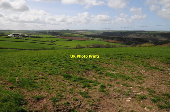 Photo 6"x4" Farmland near Furze Farm Great Torrington c2015