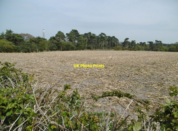 Photo 6"x4" Stanswood, stubble field Calshot c2015