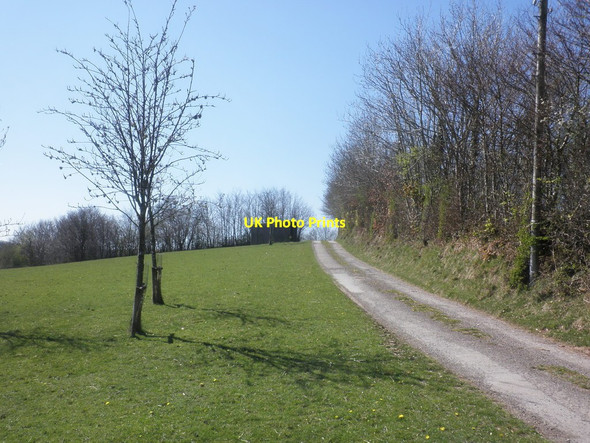 Photo 6"x4" Track to Hill Farm Edgcott\/SS8438 c2015