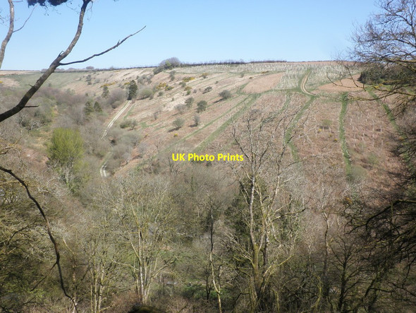 Photo 6"x4" Hillside above Swincombe Edgcott\/SS8438 c2015