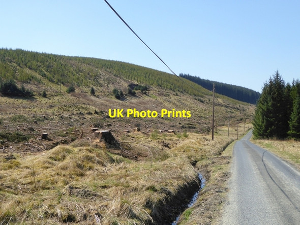 Photo 6"x4" Clearfell in Eilrig Forest Craik\/NT3408 c2015