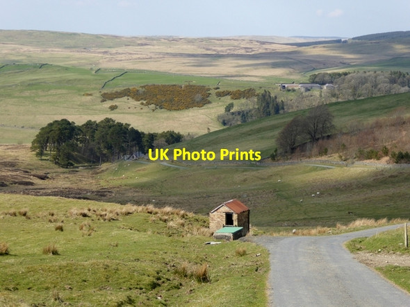 Photo 6"x4" Hillside above the Wood Burn valley Roberton\/NT4214 c2015