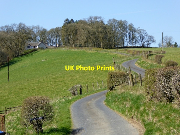 Photo 6"x4" The winding road to Milsington Roberton\/NT4214 c2015