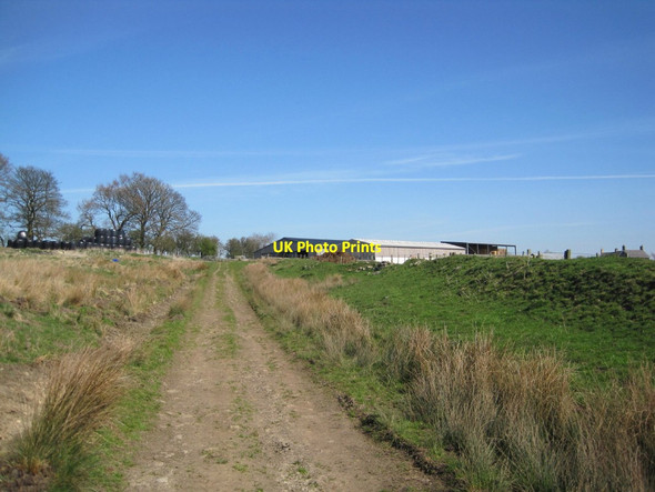 Photo 6"x4" Bridleway towards Edlingham Edlingham c2015