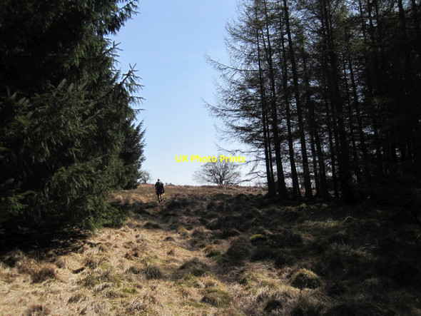 Photo 6"x4" Bridleway towards Snook Bank Glantlees c2015