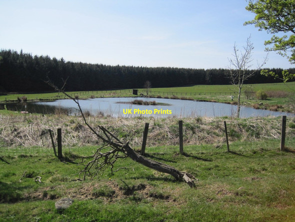 Photo 6"x4" Fishing Lake near Shiel Dykes Glantlees c2015