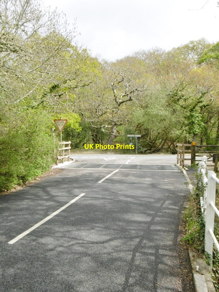 Photo 6"x4" Brockenhurst, cattle grid Balmerlawn c2015