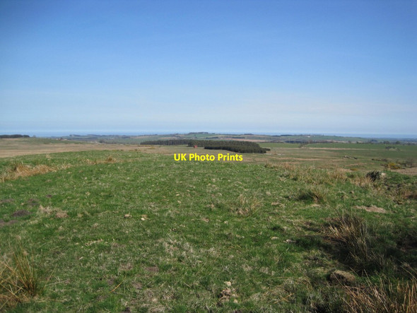 Photo 6"x4" Bridleway towards Stirkhill Plantation Edlingham c2015