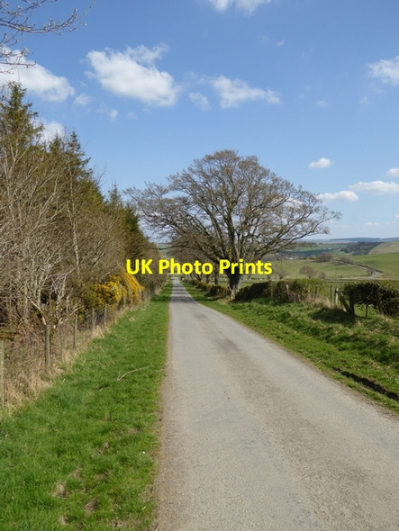 Photo 6"x4" Country road near Chapelhill Farm Newmill\/NT4510 c2015