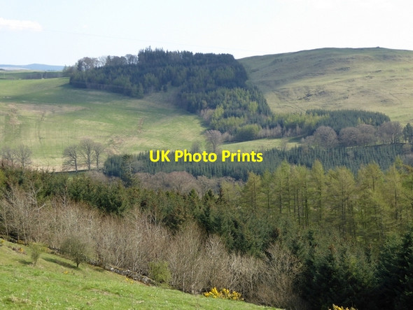 Photo 6"x4" Looking down Branxholm Glen Branxholme c2015