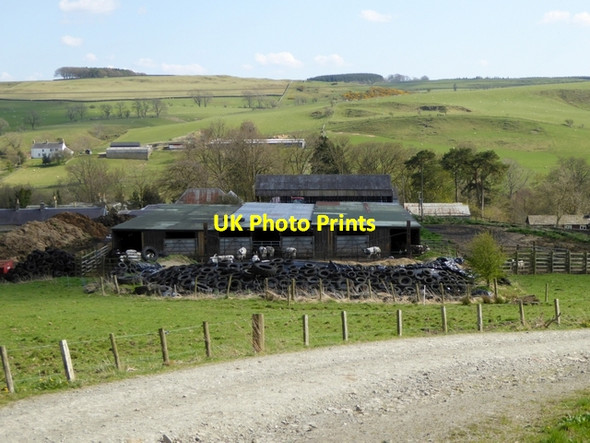 Photo 6"x4" Branxholm Park Farm Branxholme c2015