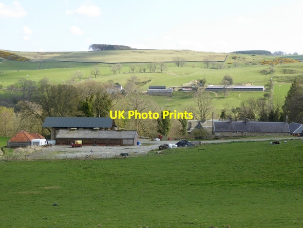 Photo 6"x4" Branxholm Park Farm Branxholme c2015 P1