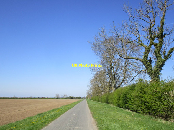 Photo 6"x4" Green Lane north of Cold Harbour Lane Moorhouses\/TF2756 c2015