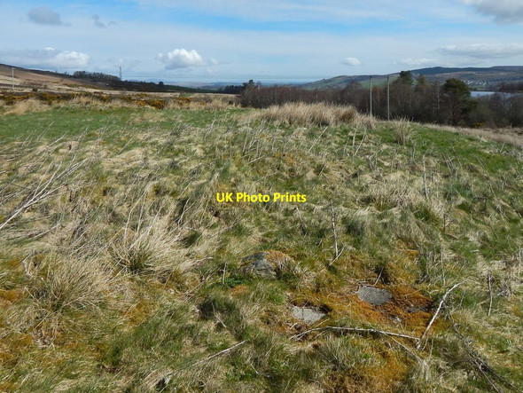 Photo 6"x4" The former site of Carman House Alexandria c2015