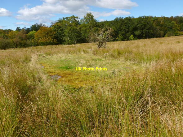 Photo 6"x4" Remains of accommodation camp: hut base Helensburgh c2012