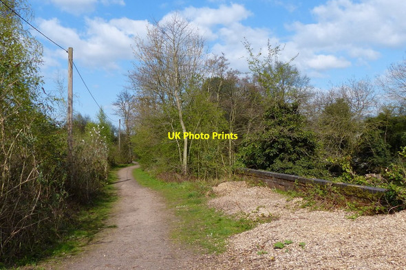 Photo 6"x4" Centenary Way along the River Avon, Warwick Warwick c2015