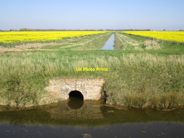 Photo 6"x4" Minor drain entering Newham Drain Bunker's Hill\/TF2653 c2015