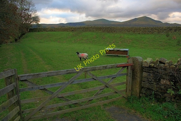 Photo 6"x4" Footpath Near Wolt Bridge Scales\/NY3426 c2008