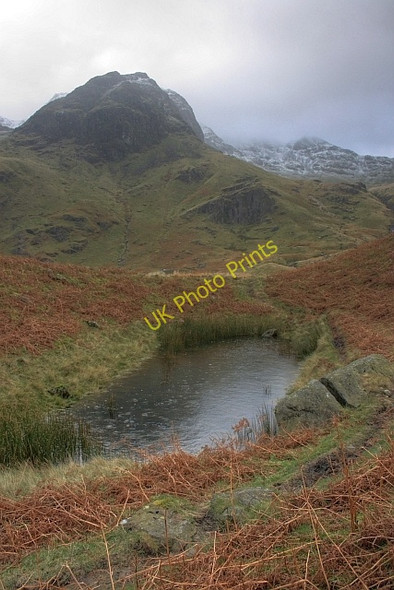 Photo 6"x4" Greenhow End Bridgend\/NY3914 c2008