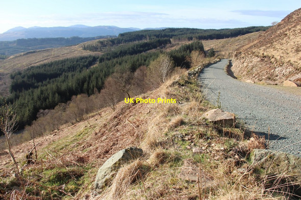 Photo 6"x4" Forest road above Douglas Water Auchindrain c2015