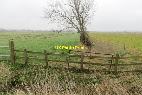 Photo 6"x4" Rhyne, Butt Moor Coxbridge c2015