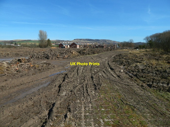 Photo 6"x4" Cleared area at Lomondgate Dumbarton c2015