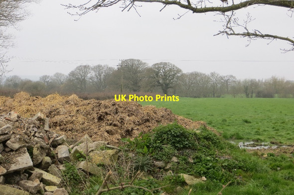 Photo 6"x4" Mixen, Lottisham Ham Street c2015