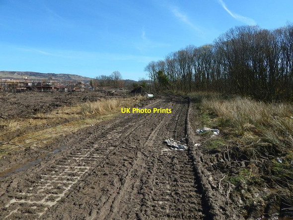 Photo 6"x4" Cleared area at Lomondgate Dumbarton c2015