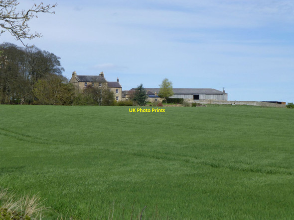 Photo 6"x4" Thornton House Hartburn\/NZ0886 c2015