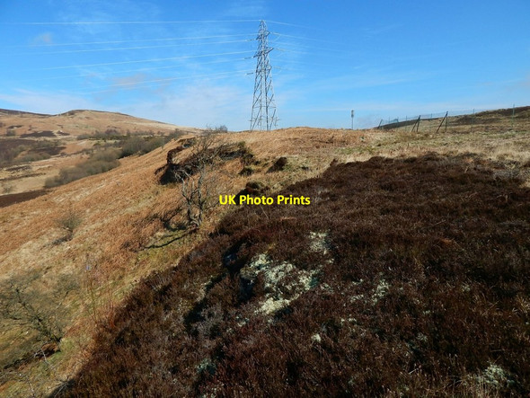 Photo 6"x4" Line of sandstone outcrops Ardoch\/NS3676 c2015