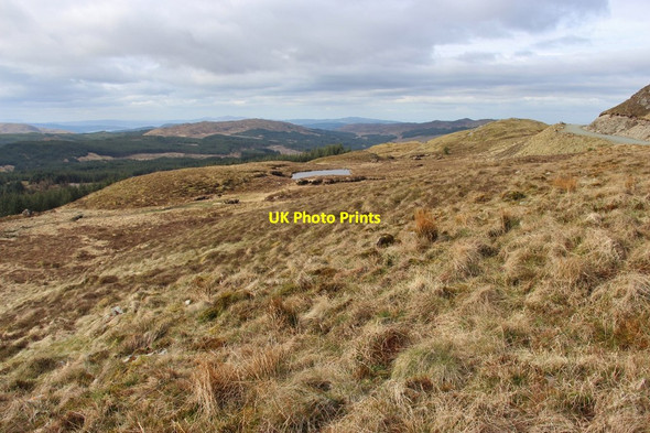 Photo 6"x4" Forest edge near An Suidhe Windfarm Allt Nighinn c2015