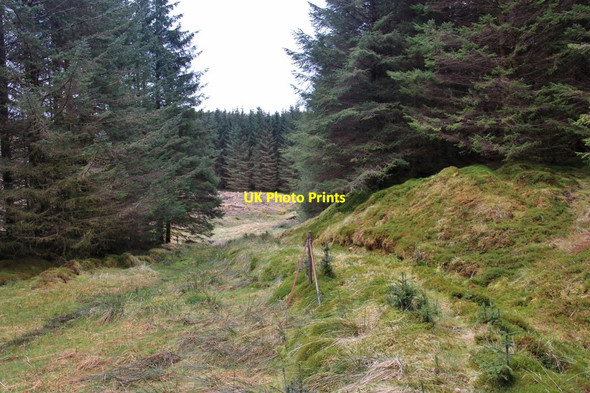 Photo 6"x4" Old track from Eredine to Craleckan and Furnace Allt nan Sac\/NM9804 c2015