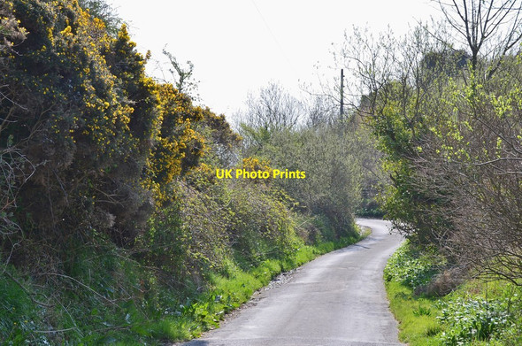 Photo 6"x4" Lane to Port Mooar Ballaterson\/SC4892 c2015