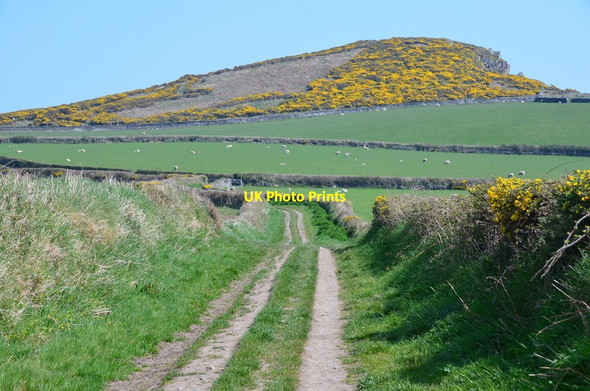 Photo 6"x4" Track near Maughold Head Maughold c2015