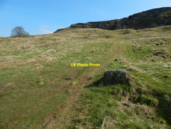 Photo 6"x4" Lang Craigs Woodland: ascending path Dumbarton c2015