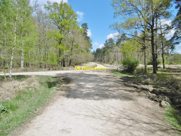 Photo 6"x4" Perrywood Haseley, forestry crossroads Balmerlawn c2015