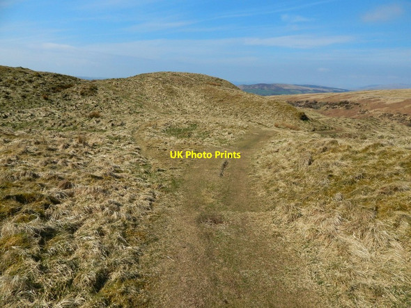 Photo 6"x4" Junction of paths Bellsmyre c2015 P1