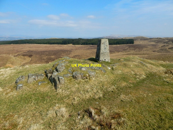 Photo 6"x4" The summit of Doughnot Hill Milton\/NS4274 c2015