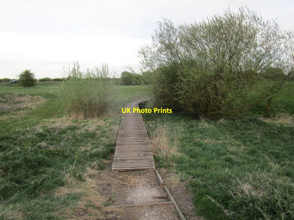 Photo 6"x4" Duckboarded path Woodmansey c2015