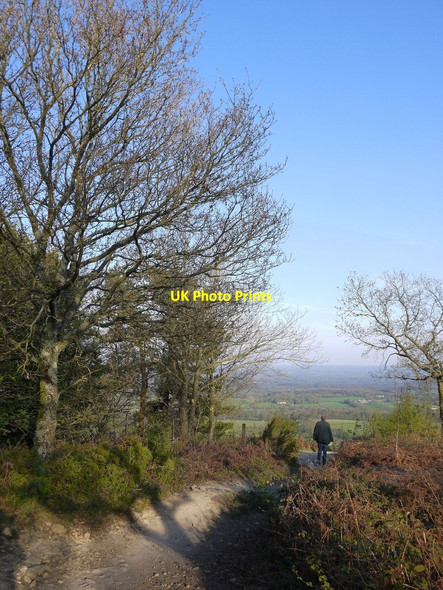 Photo 6"x4" At the top of Pitch Hill Peaslake c2015