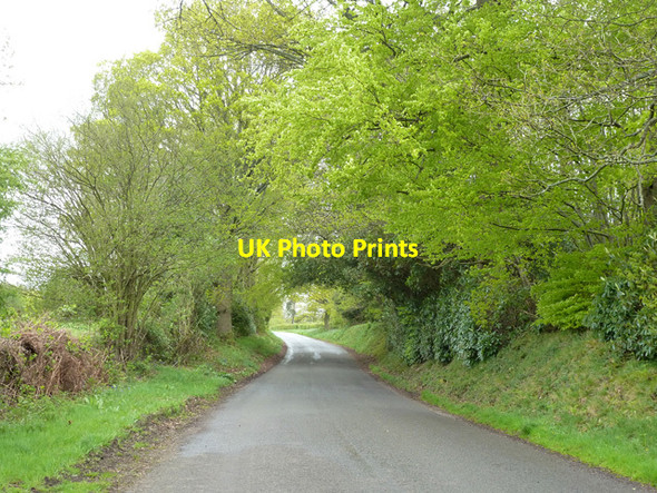 Photo 6"x4" Back Lane Worth Abbey c2015