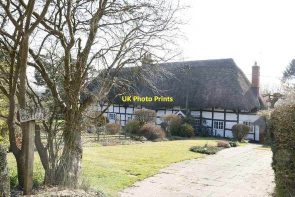 Photo 6"x4" Thatched Cottages Easton\/SU5132 c2015