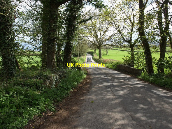 Photo 6"x4" Nymphayes Bridge Zeal Monachorum c2015