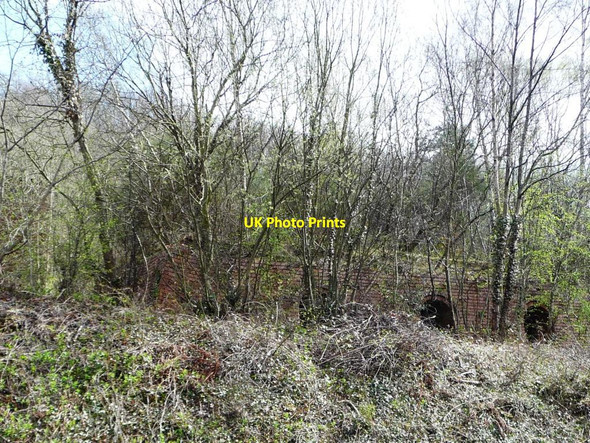 Photo 6"x4" Derelict brick kiln, Grosmont [northern end] Grosmont\/NZ8205 c2015
