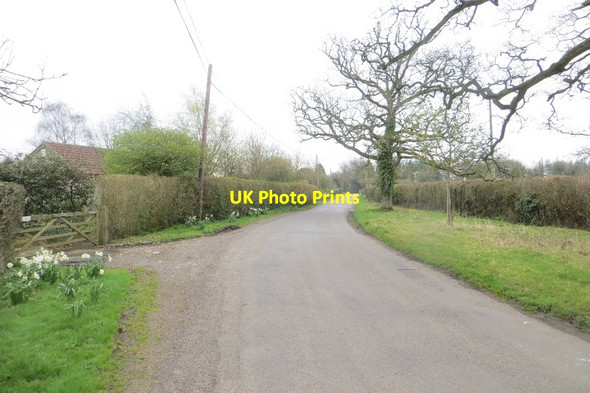 Photo 6"x4" Hornblotton Green Four Foot c2015