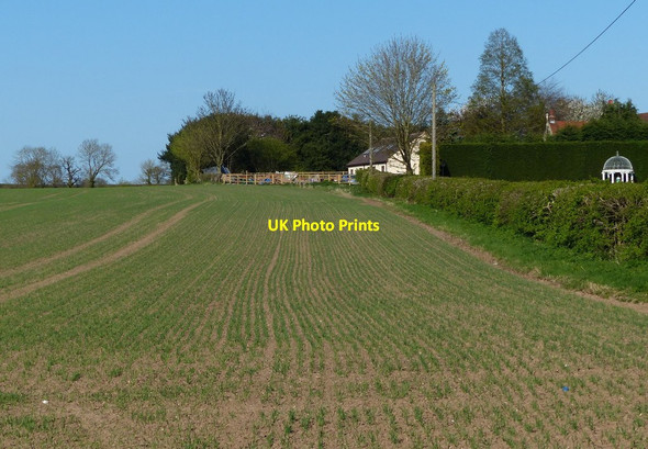 Photo 6"x4" Farmland on the edge of Lillington Blackdown\/SP3168 c2015