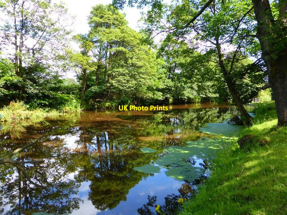 Photo 6"x4" River Carron downstream of Dunipace Bridge [2] Bonnybridge c2014