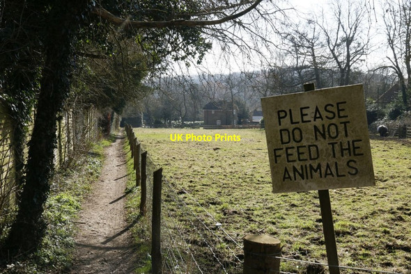 Photo 6"x4" Sign by the Itchen Way Couch Green c2015