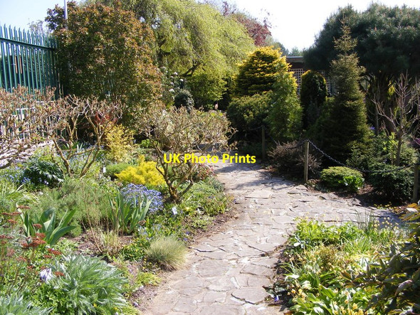 Photo 6"x4" Ashwood Path Ashwood\/SO8688 c2015